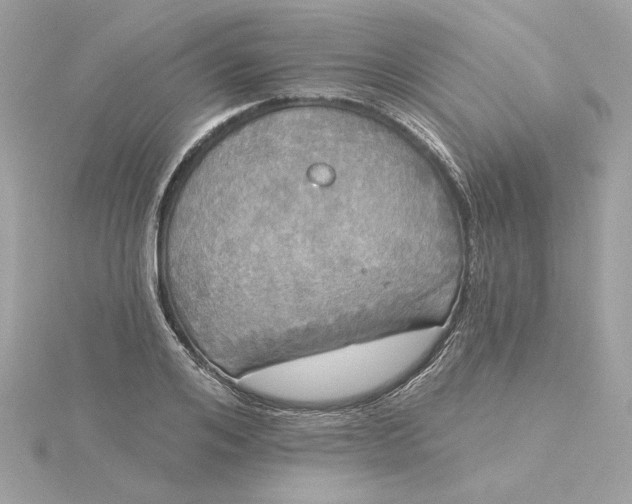 X0000116030984200912041931