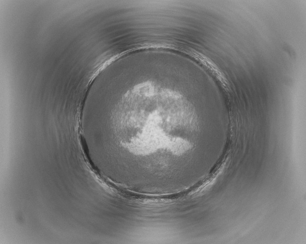 X0000116030985200912041931