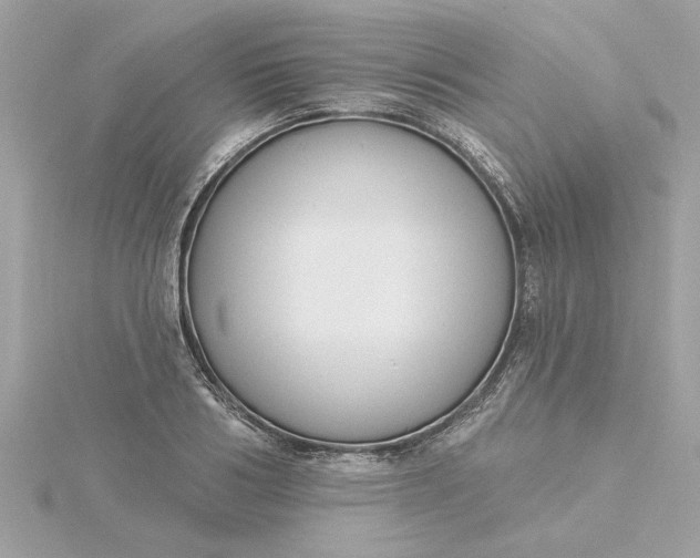 X0000116030986200912041931