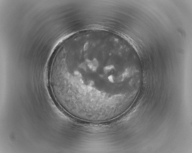 X0000116030987200912041931