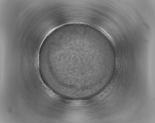 X0000116030988200912041931