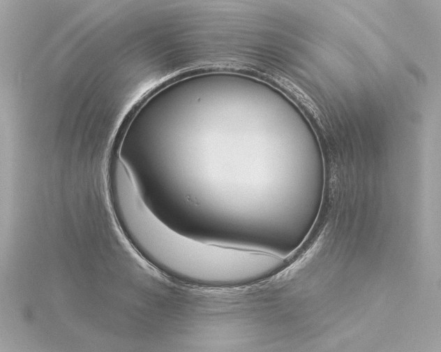 X0000116030989200912041931