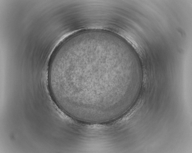 X0000116030992200912041931