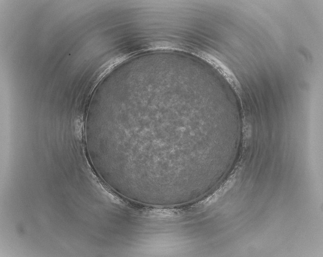 X0000116030993200912041931