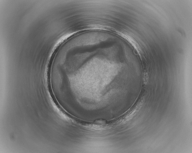 X0000116030995200912041931