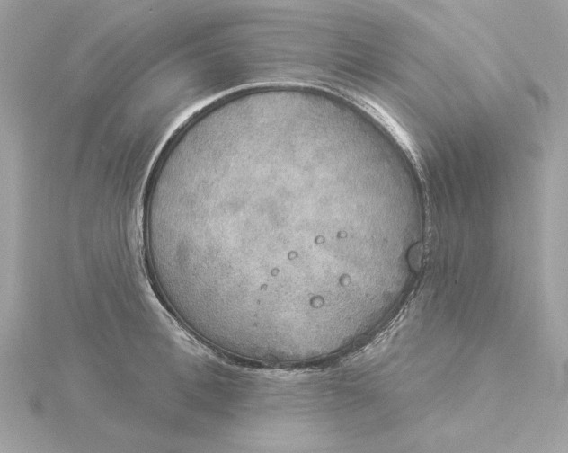 X0000116030996200912041931