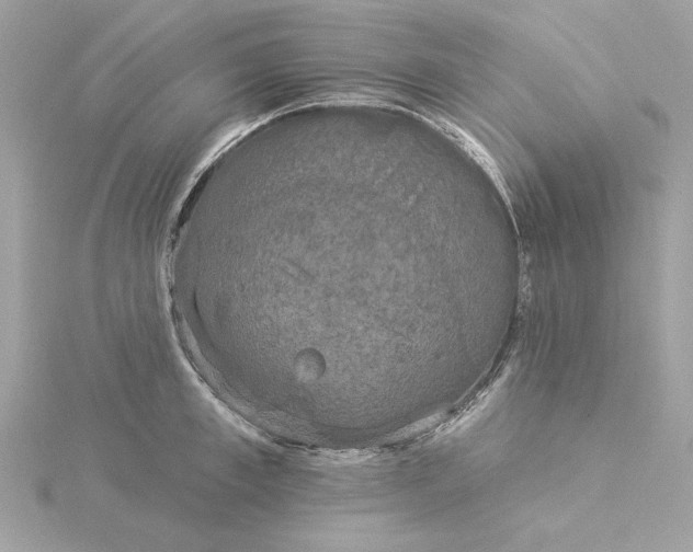 X0000116030997200912041931