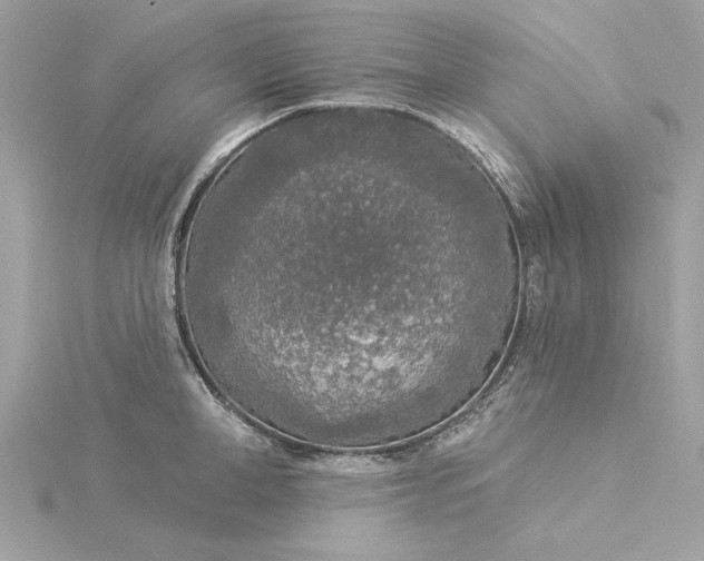 X0000116030998200912041931