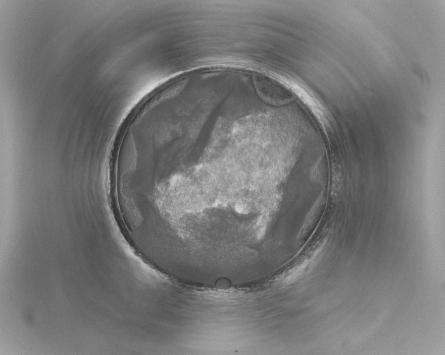 X0000116030999200912041931