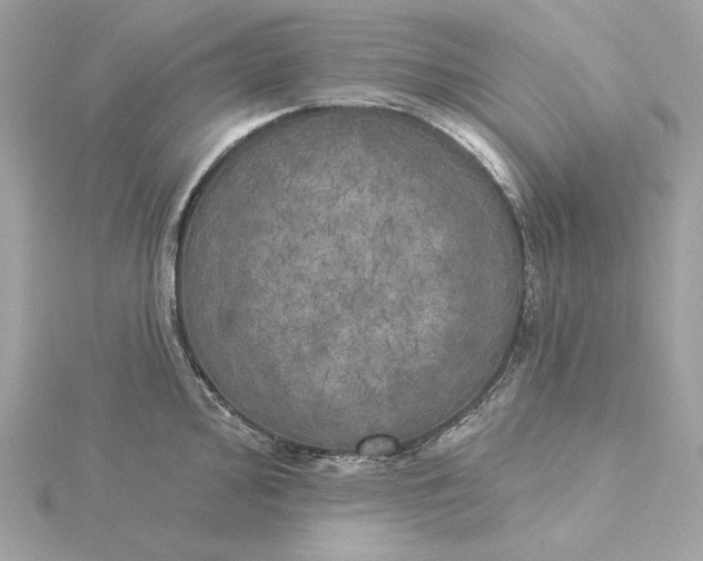 X0000116031000200912041931