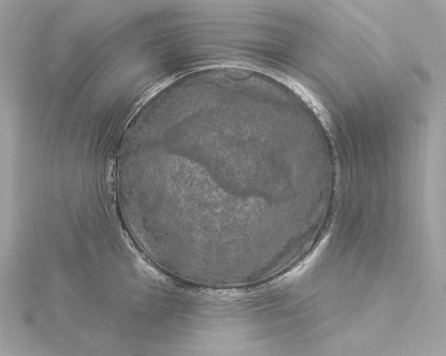 X0000116031001200912041931