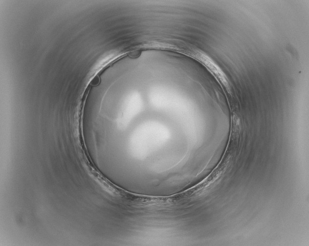 X0000116031002200912041931