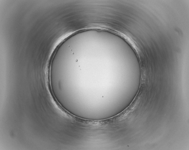 X0000116031003200912041931