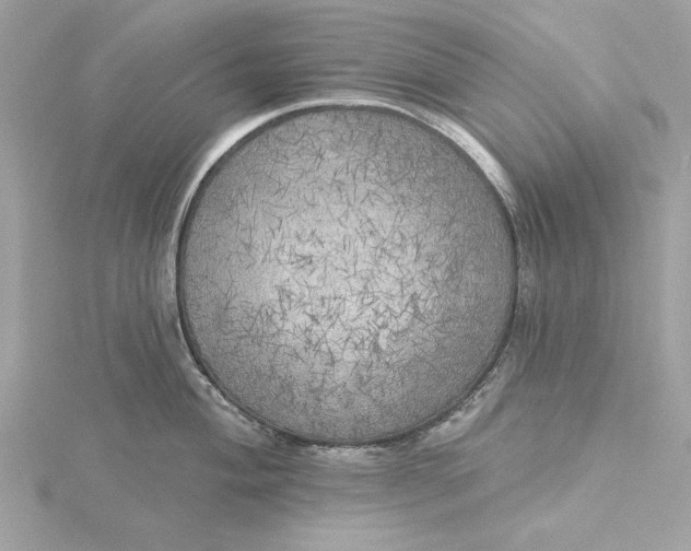 X0000116031004200912041931