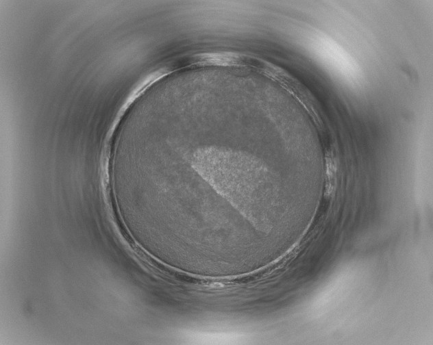 X0000116031005200912041931