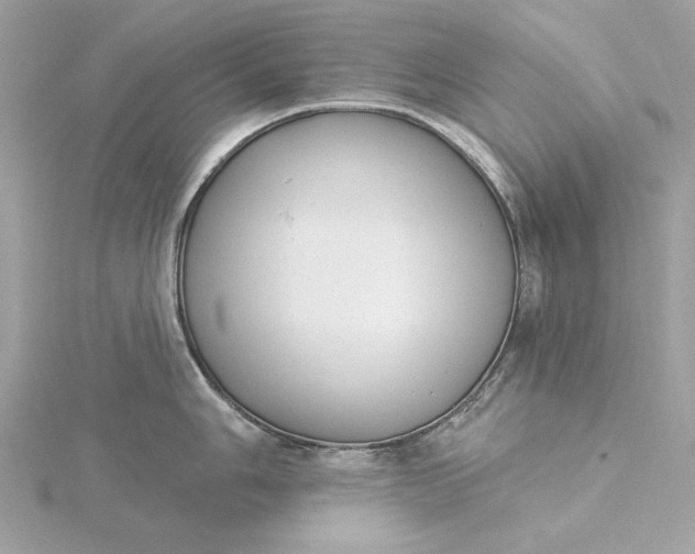 X0000116031006200912041931