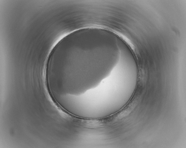 X0000116031007200912041931