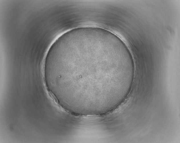 X0000116031008200912041930