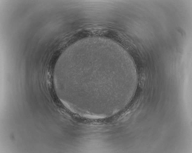 X0000116031010200912041930