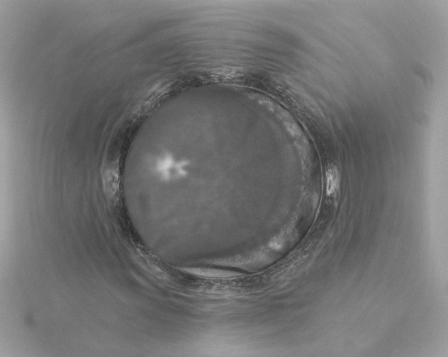 X0000116031011200912041930