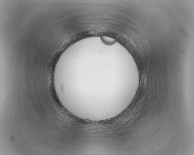 X0000116031012200912041930