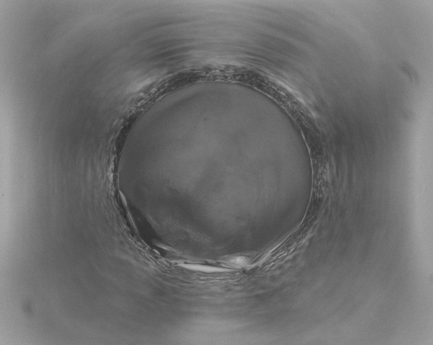 X0000116031013200912041930