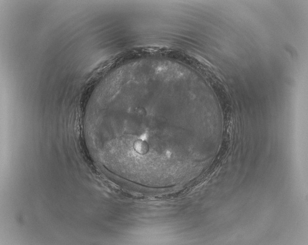 X0000116031014200912041930