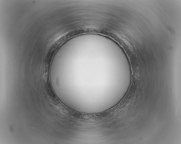 X0000116031015200912041930