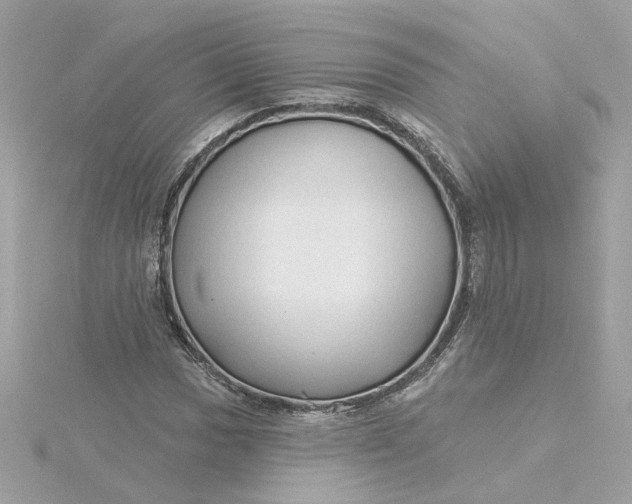 X0000116031017200912041930