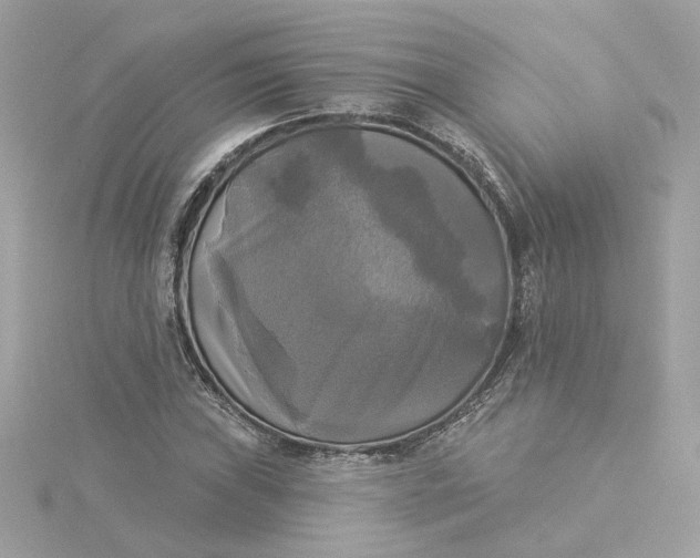 X0000116031019200912041930