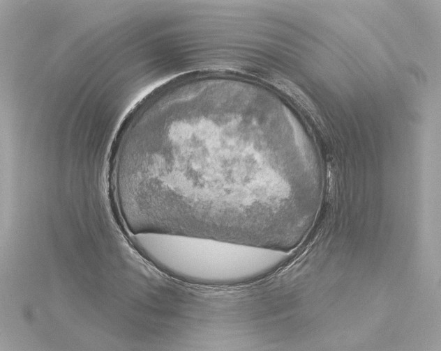 X0000116031020200912041930