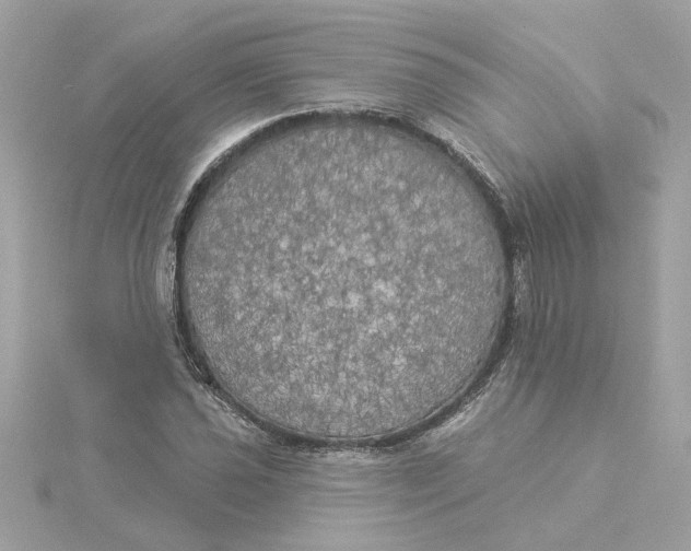 X0000116031021200912041930