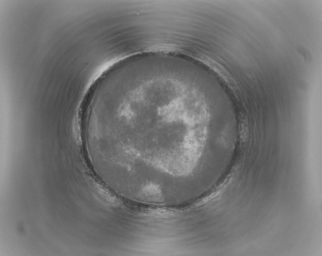 X0000116031022200912041930