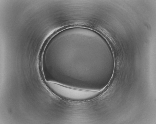 X0000116031024200912041930