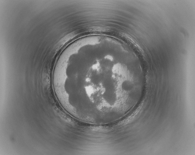 X0000116031025200912041930