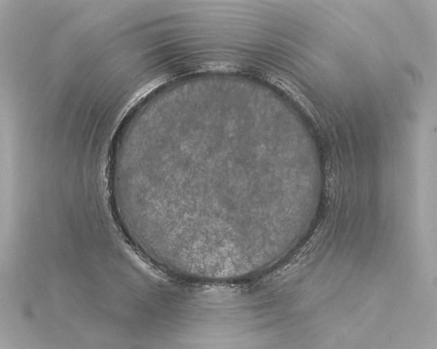 X0000116031026200912041930