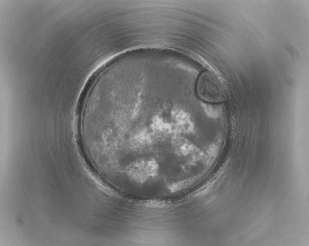 X0000116031029200912041930