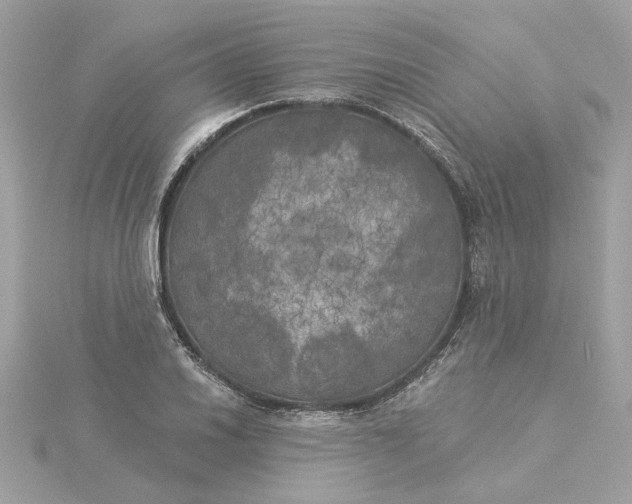 X0000116031030200912041930