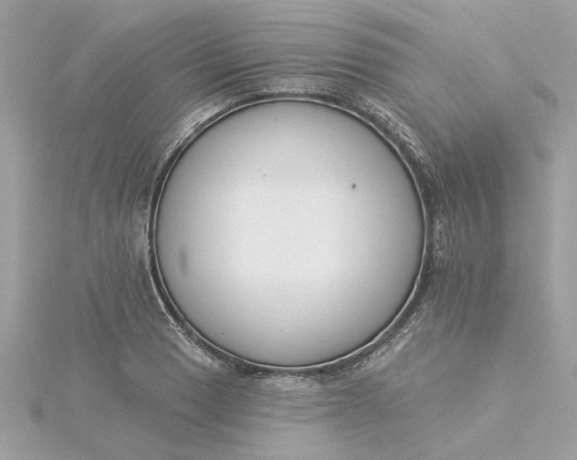 X0000116031033200912041930