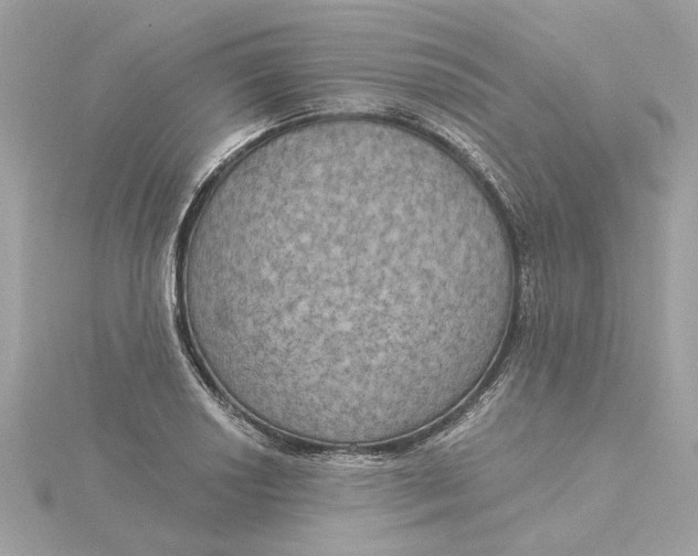 X0000116031034200912041930