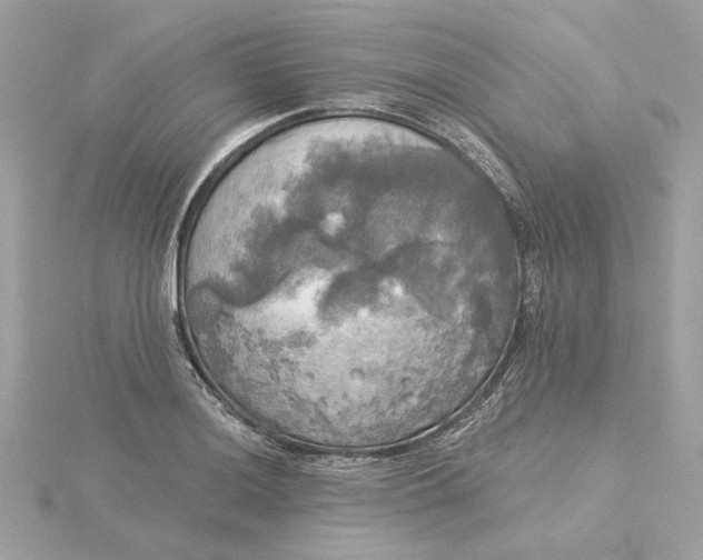 X0000116031036200912041930