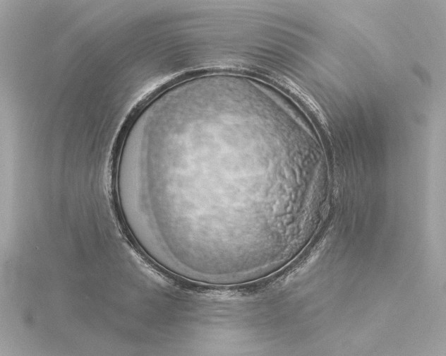 X0000116031037200912041930