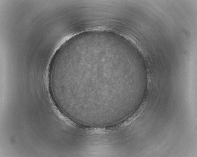 X0000116031038200912041930