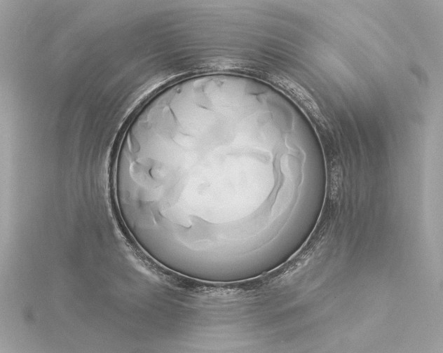 X0000116031039200912041930