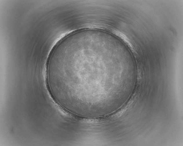 X0000116031040200912041930