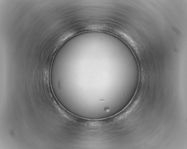 X0000116031041200912041930