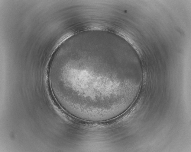 X0000116031042200912041930