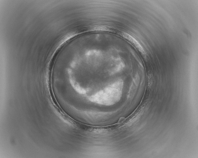 X0000116031043200912041930