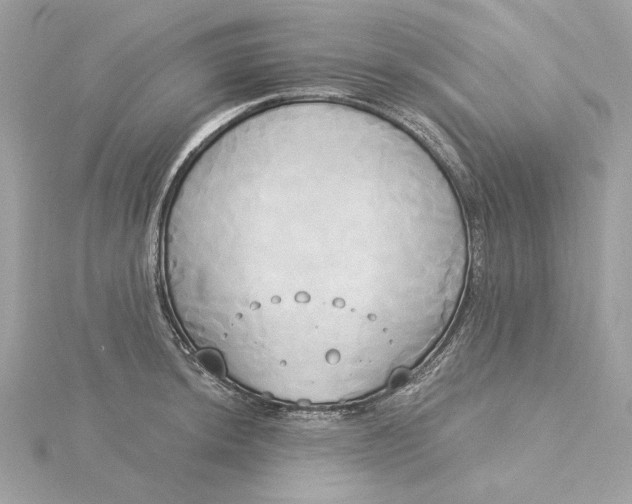 X0000116031044200912041930