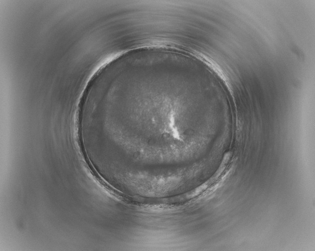 X0000116031045200912041930